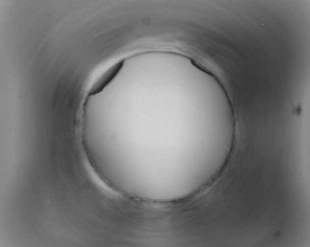 X0000110721528200907022034