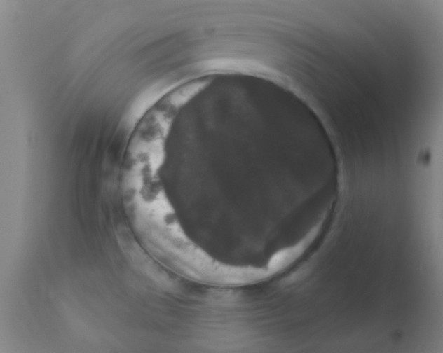 X0000110721529200907022034