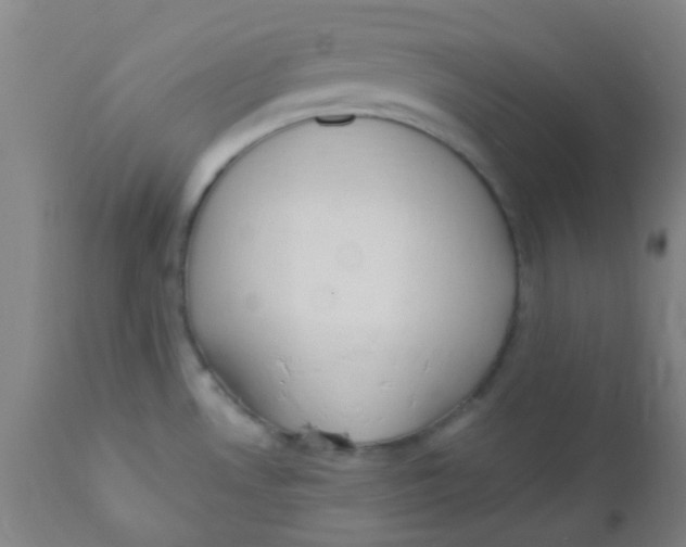 X0000110721530200907022034