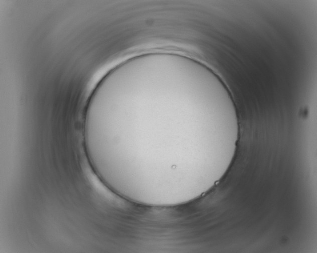 X0000110721531200907022034