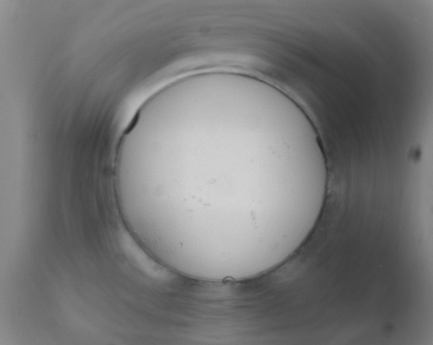 X0000110721532200907022034