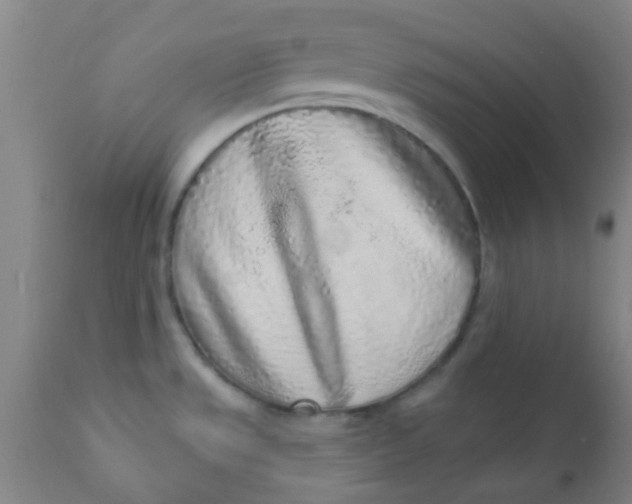 X0000110721533200907022034