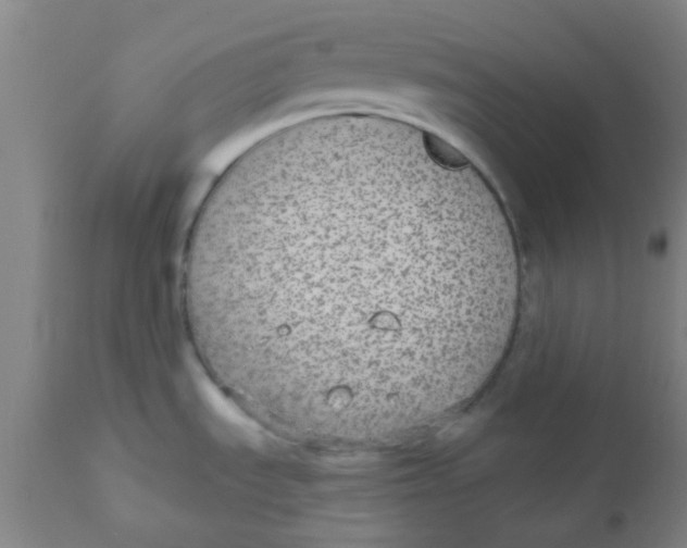 X0000110721535200907022035