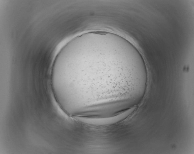 X0000110721536200907022035