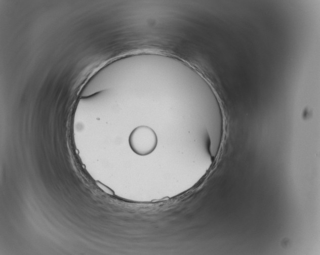 X0000110720001200907101415