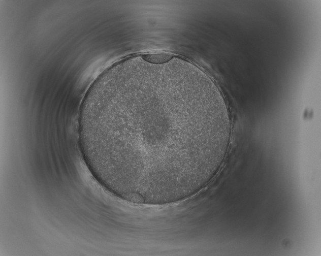 X0000110720002200907101415