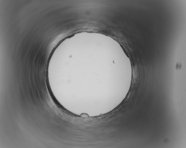 X0000110720003200907101415