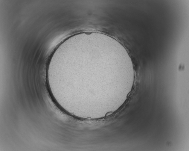 X0000110720005200907101415