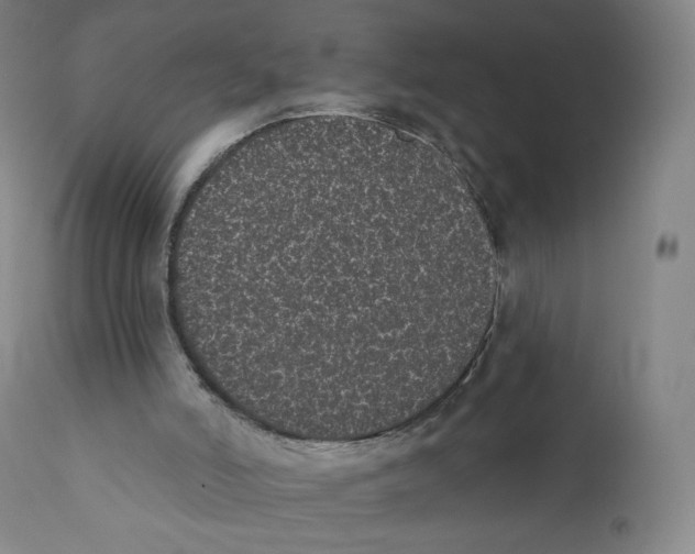 X0000110720006200907101415