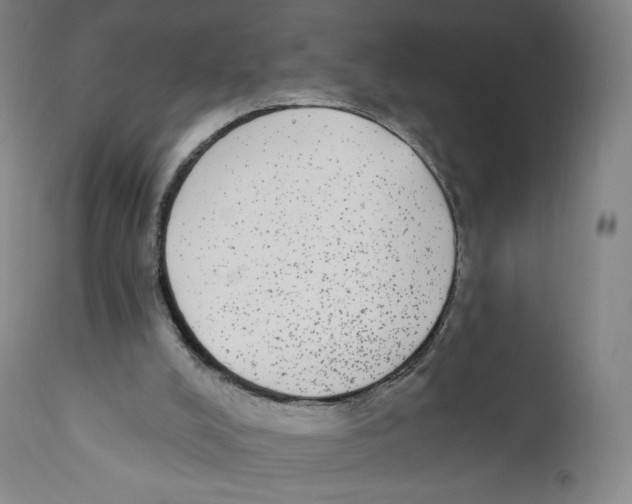 X0000110720008200907101415