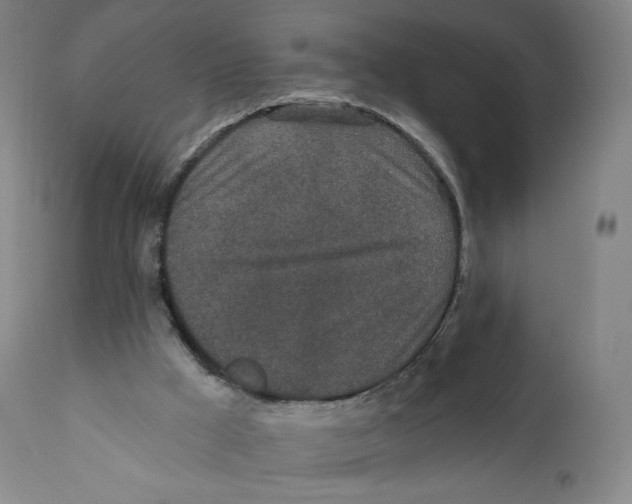 X0000110720009200907101415