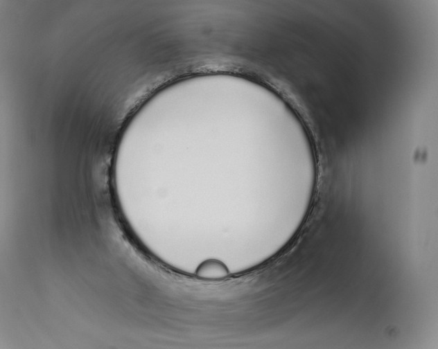 X0000110720010200907101415