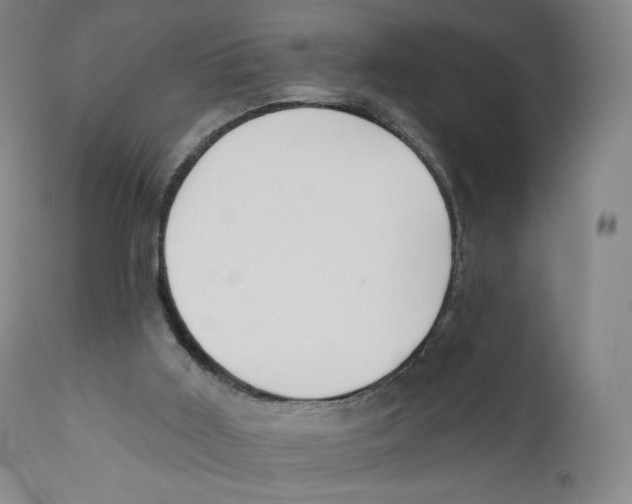 X0000110720011200907101415