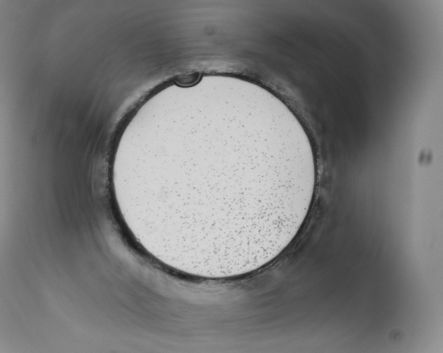 X0000110720012200907101415