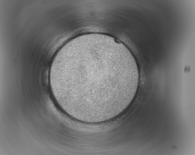 X0000110720014200907101415