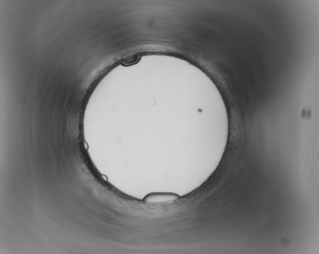 X0000110720015200907101415