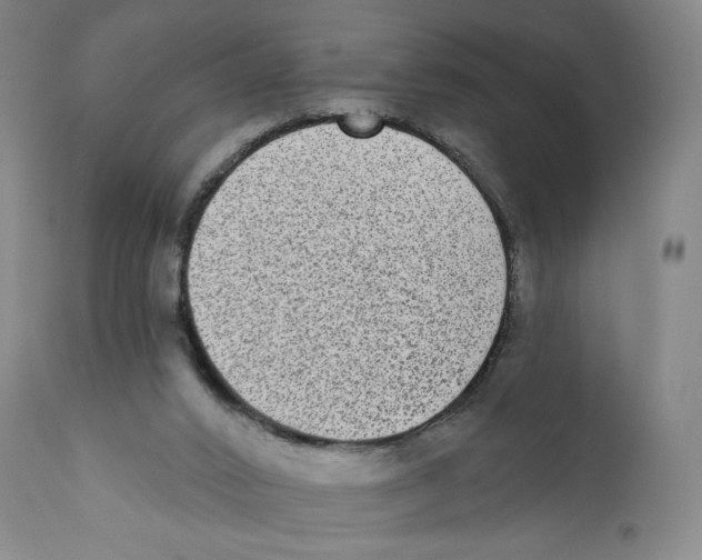 X0000110720016200907101415