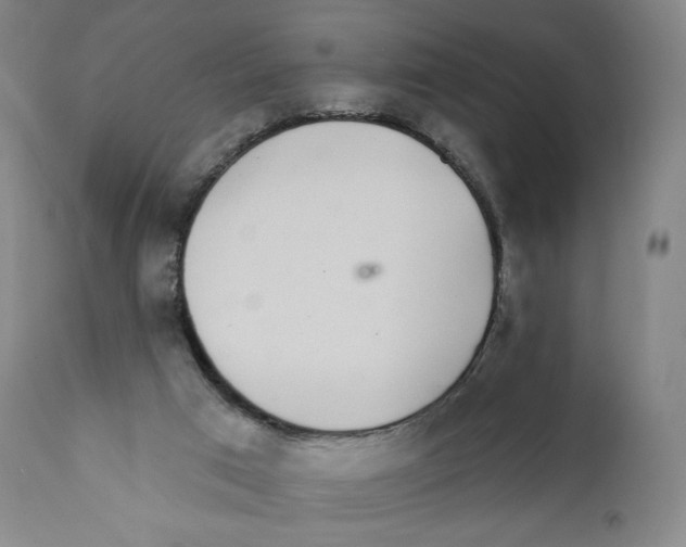 X0000110720017200907101415