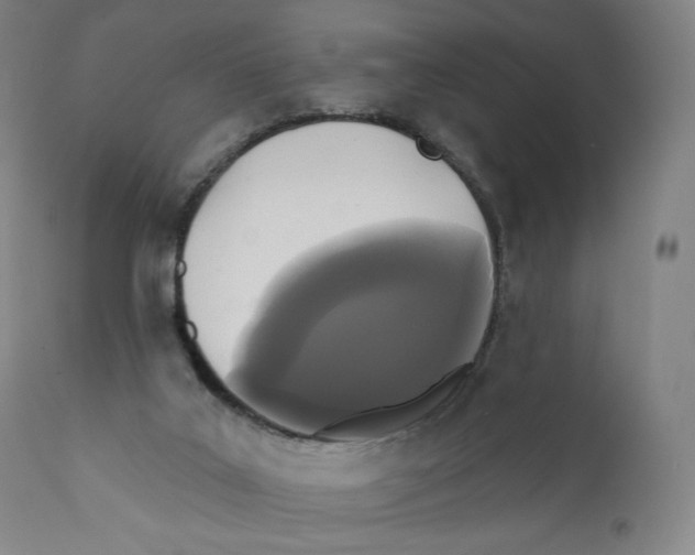 X0000110720019200907101415