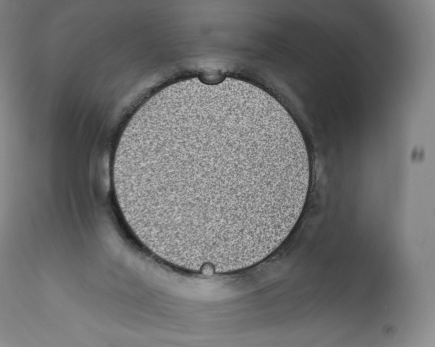 X0000110720020200907101415