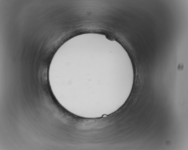 X0000110720021200907101415