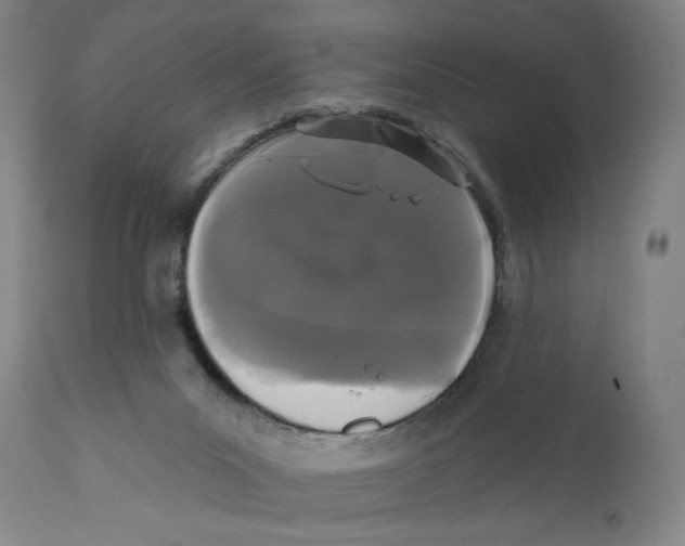 X0000110720023200907101415