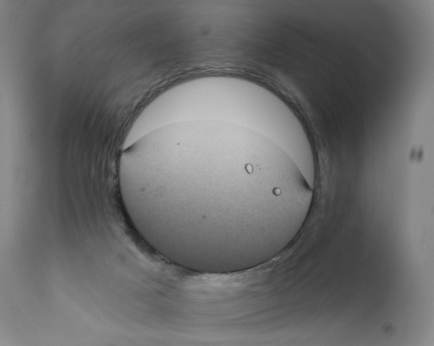 X0000110720025200907101415