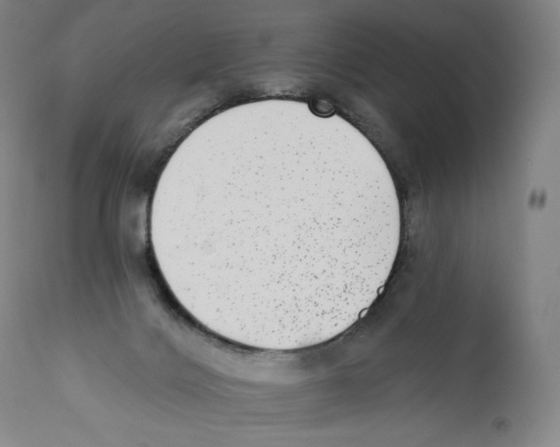 X0000110720028200907101415