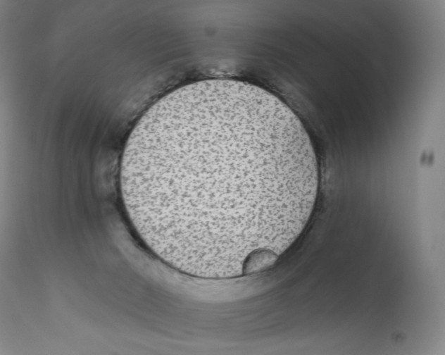 X0000110720030200907101415