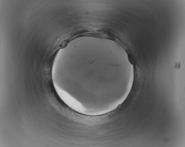 X0000110720031200907101415