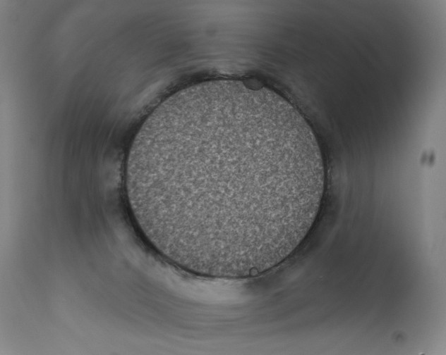 X0000110720032200907101415