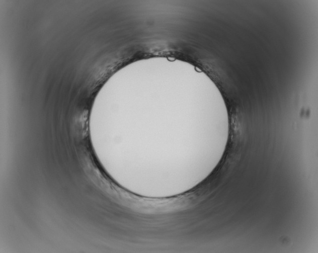 X0000110720034200907101415