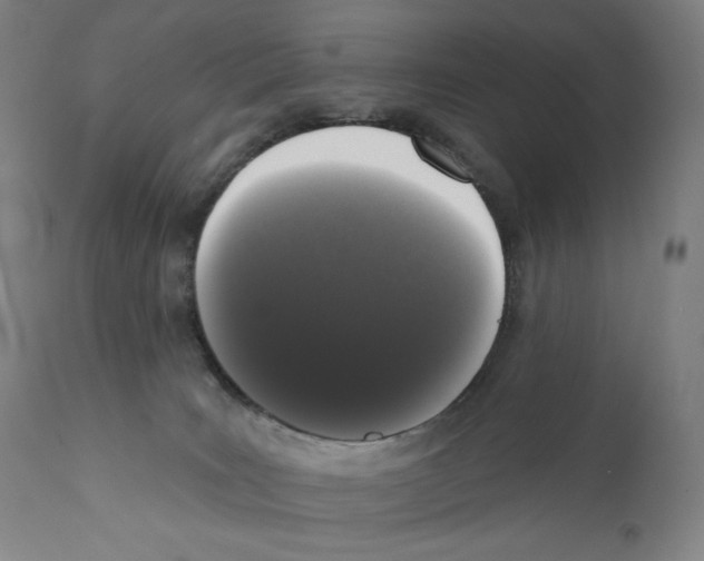 X0000110720035200907101415