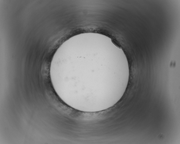 X0000110720037200907101415