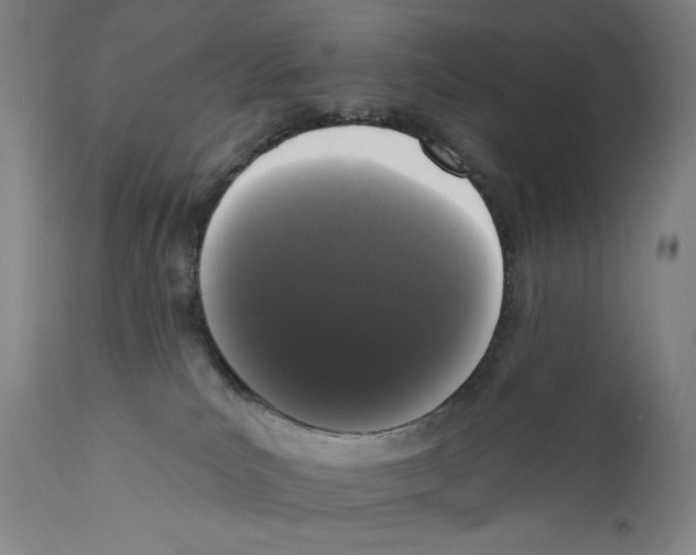 X0000110720039200907101415