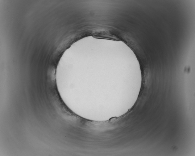 X0000110720041200907101415