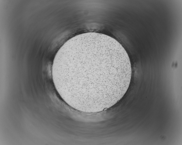 X0000110720042200907101415