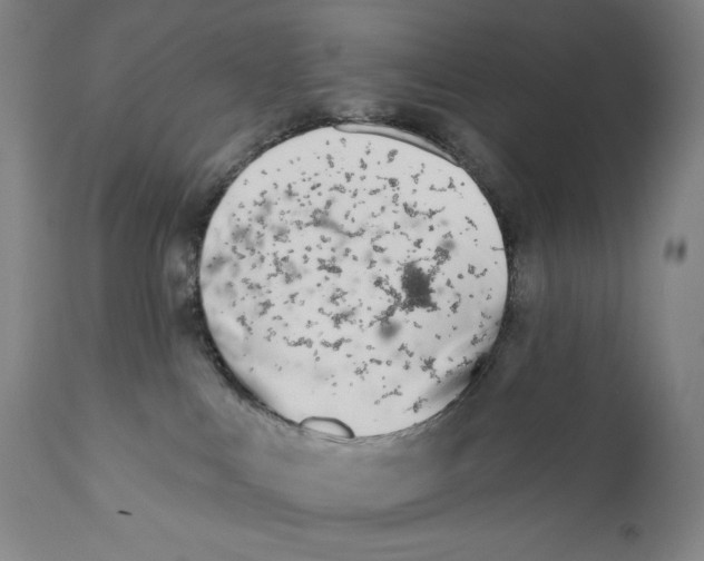 X0000110720043200907101415