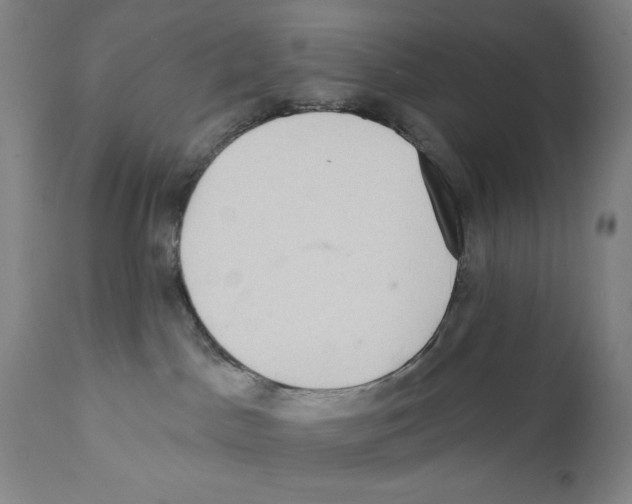 X0000110720045200907101414