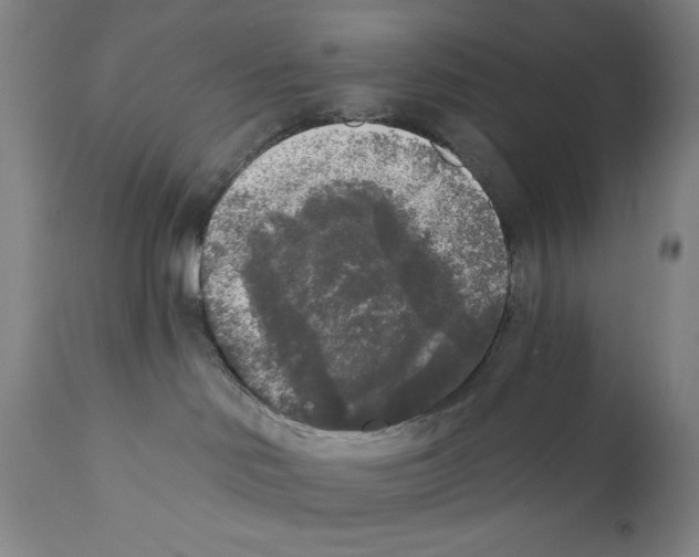 X0000110720046200907101414