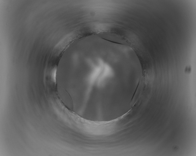 X0000110720047200907101414