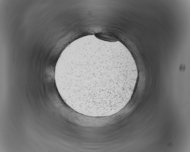 X0000110720048200907101414