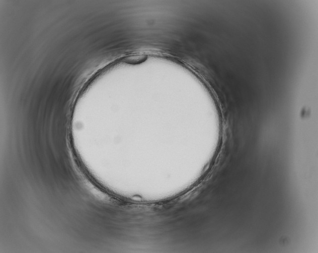 X0000110720049200907101414