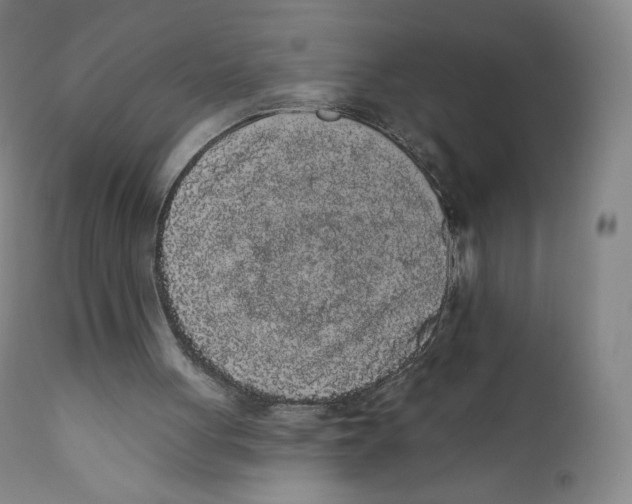 X0000110720051200907101414