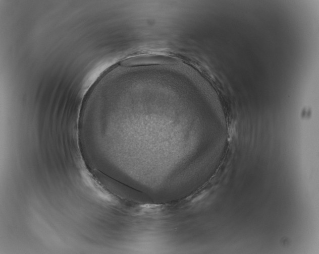 X0000110720052200907101414