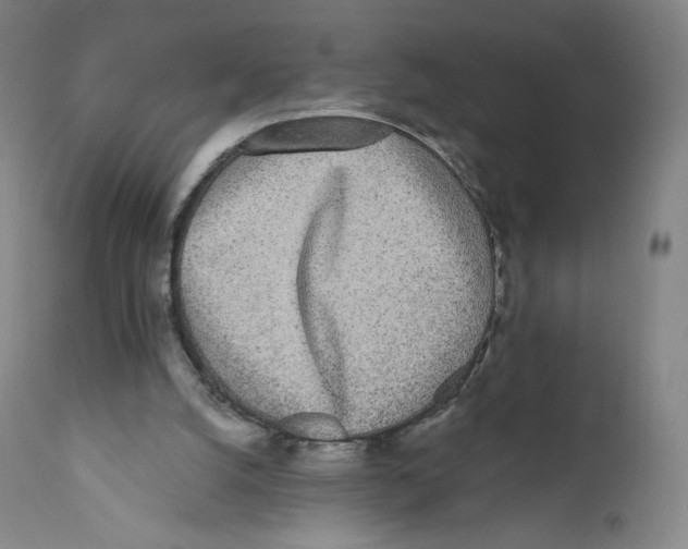 X0000110720056200907101414