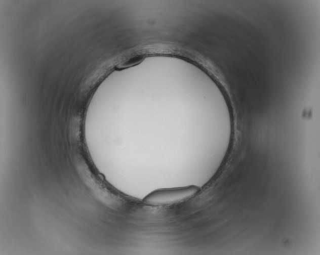 X0000110720057200907101414