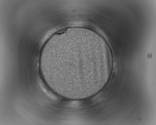 X0000110720059200907101414