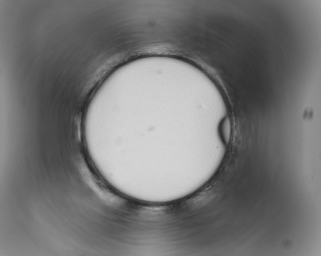 X0000110720061200907101414