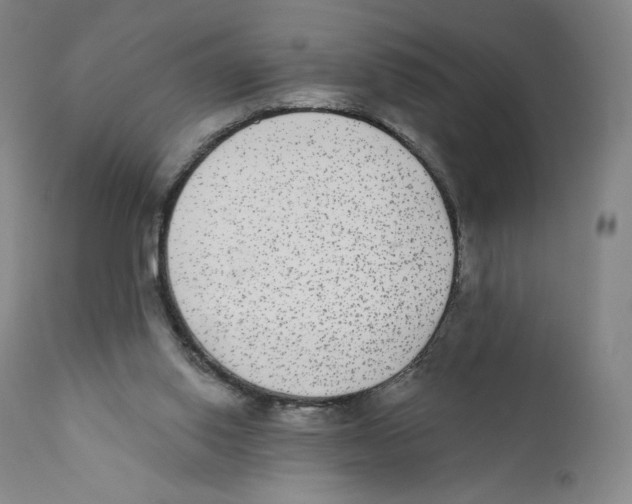 X0000110720062200907101414